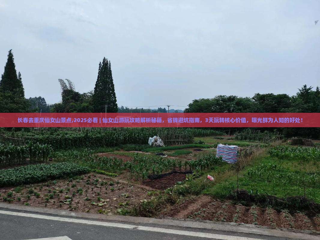 长春去重庆仙女山景点