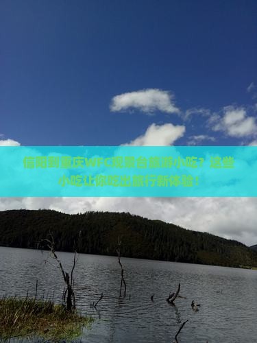 信阳到重庆wfc观景台旅游小吃