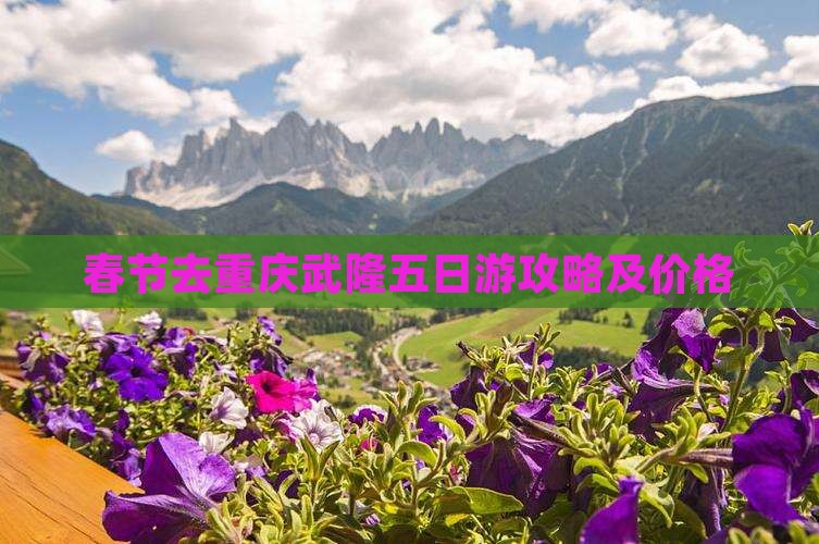 春节去重庆武隆五日游