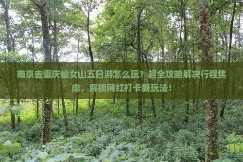 南京去重庆仙女山五日游