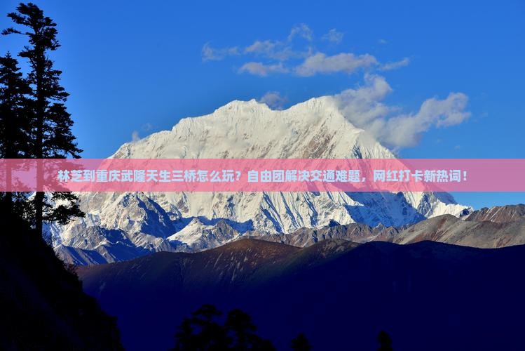 林芝到重庆武隆天生三桥自由团