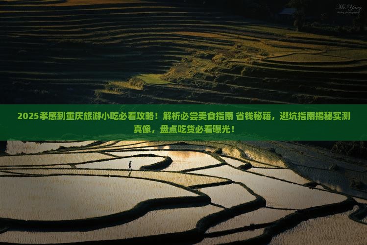 孝感到重庆旅游小吃