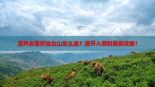 温州去重庆仙女山攻略