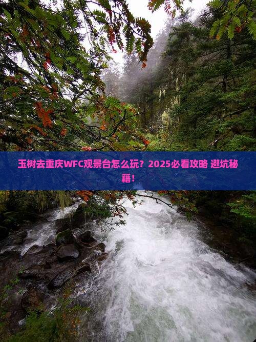 玉树去重庆wfc观景台哪里玩