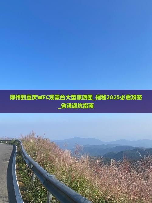 郴州到重庆wfc观景台大型旅游团