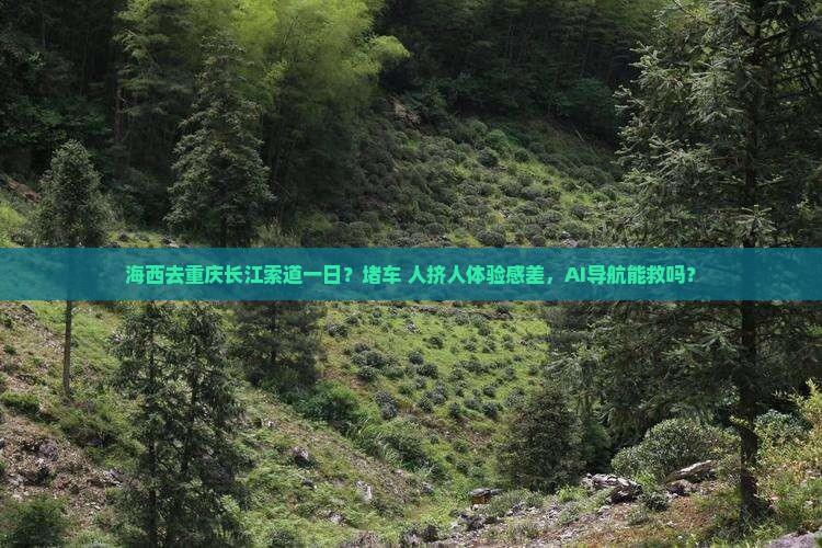 海西去重庆长江索道一日