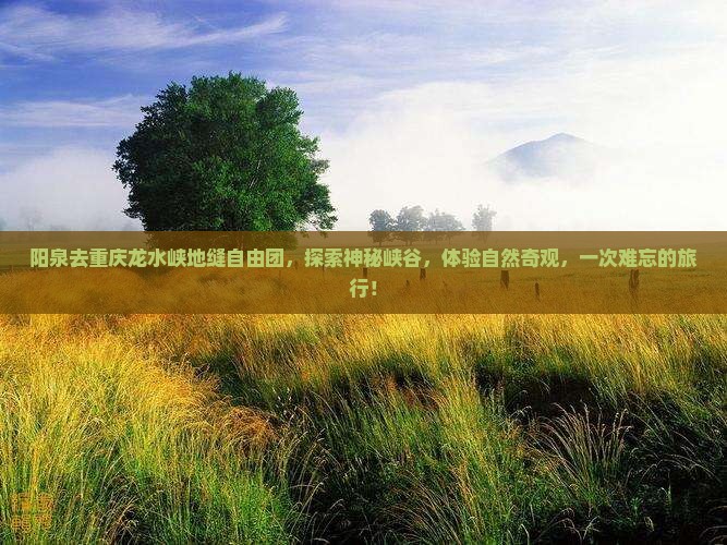 阳泉去重庆龙水峡地缝自由团