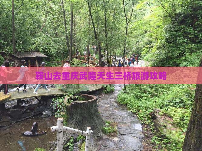 鞍山去重庆武隆天生三桥攻略