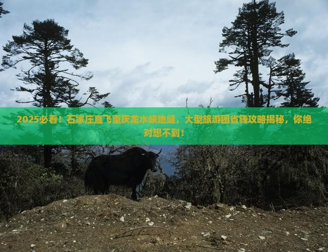 石家庄到重庆龙水峡地缝大型旅游团