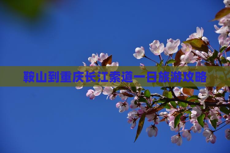 鞍山到重庆长江索道一日