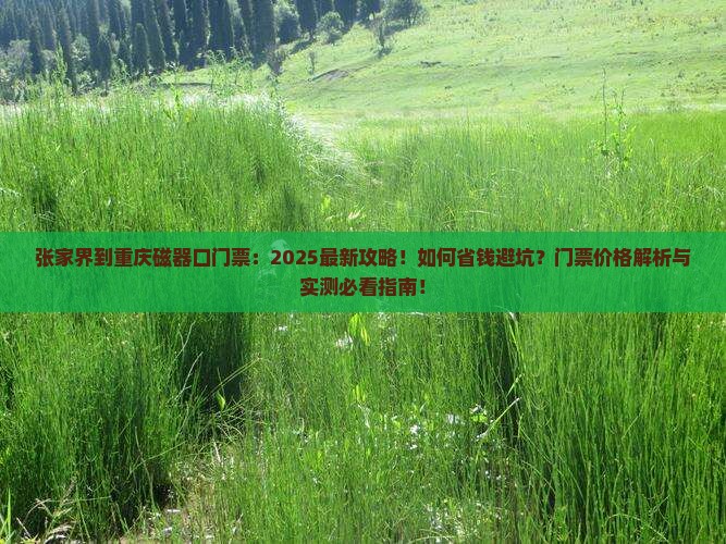 张家界到重庆磁器口门票