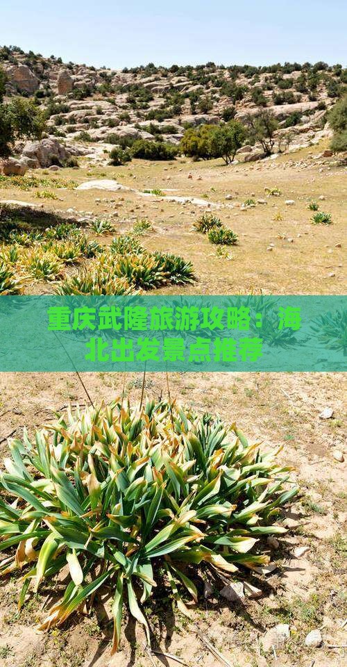 海北到重庆武隆旅游