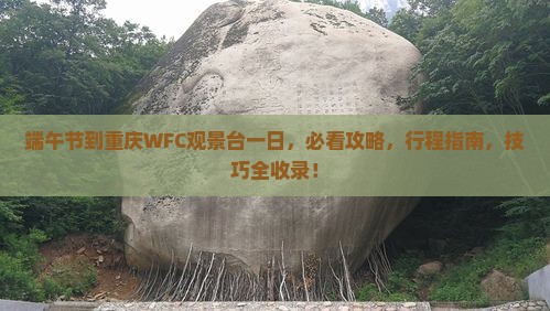 端午节到重庆wfc观景台一日