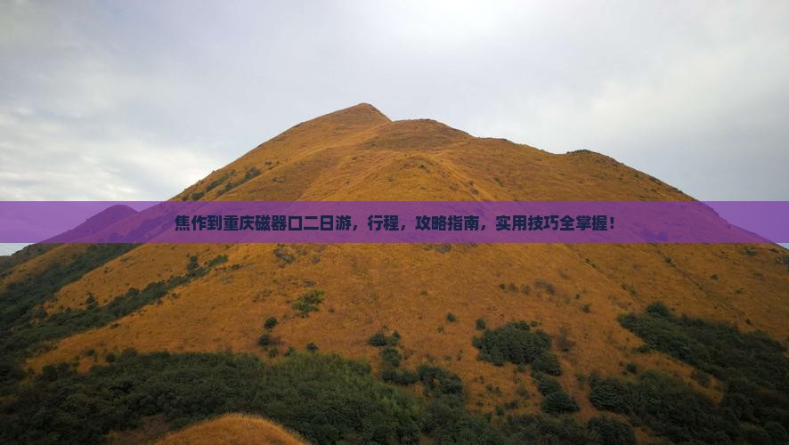 焦作到重庆磁器口二日游
