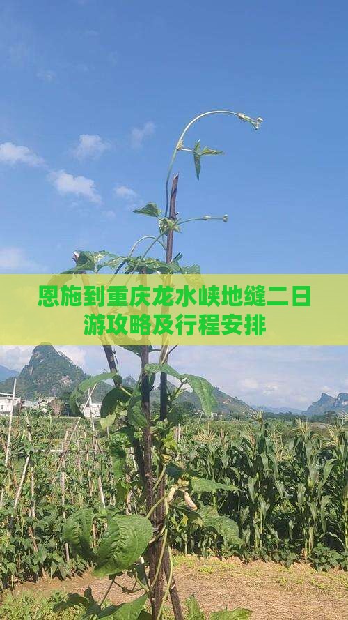 恩施到重庆龙水峡地缝二日游