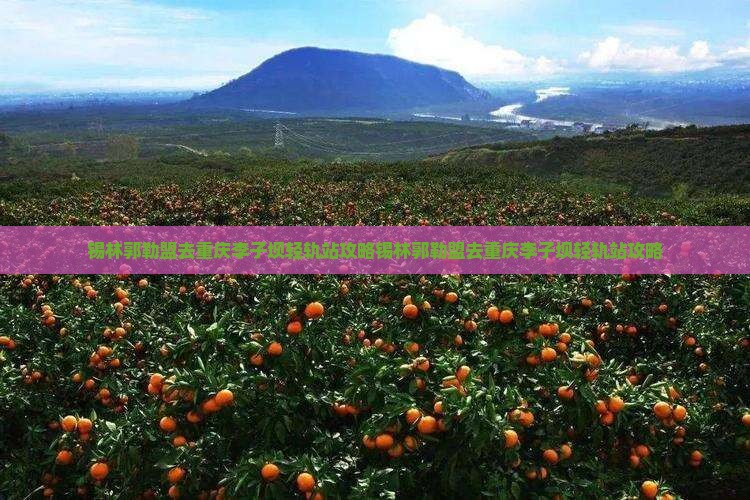 锡林郭勒盟去重庆李子坝轻轨站攻略