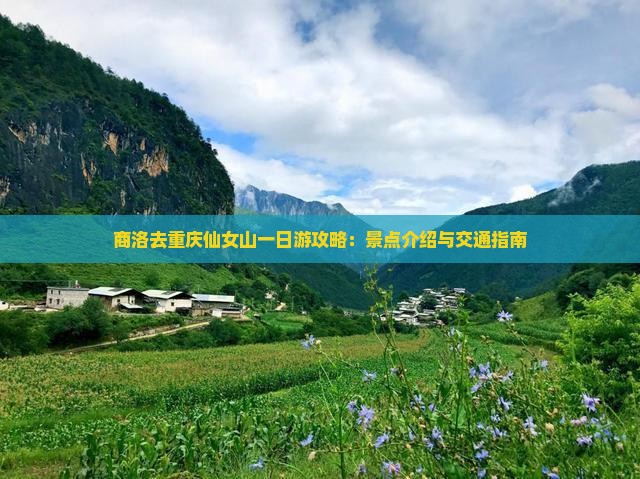 商洛去重庆仙女山一日游攻略：景点介绍与交通指南