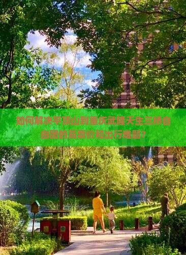 如何解决平顶山到重庆武隆天生三桥自由团的高票价和出行难题？