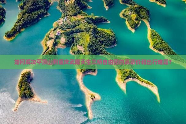 如何解决平顶山到重庆武隆天生三桥自由团的高票价和出行难题？