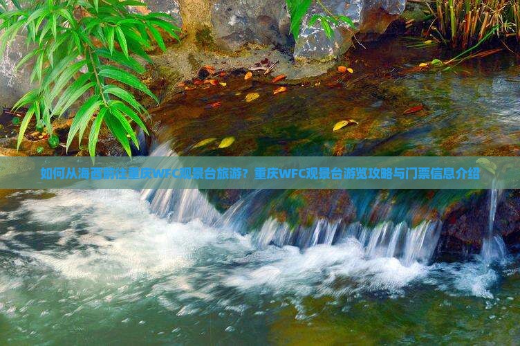 如何从海西前往重庆WFC观景台旅游？重庆WFC观景台游览攻略与门票信息介绍