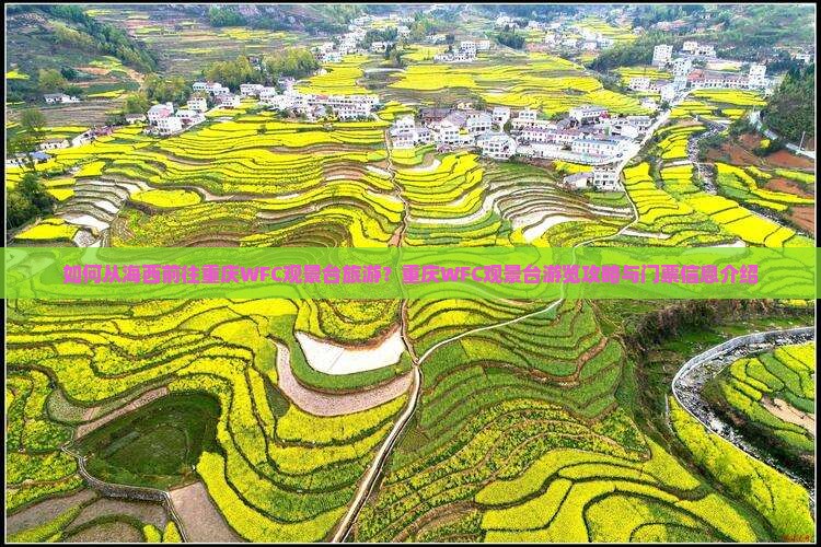 如何从海西前往重庆WFC观景台旅游？重庆WFC观景台游览攻略与门票信息介绍