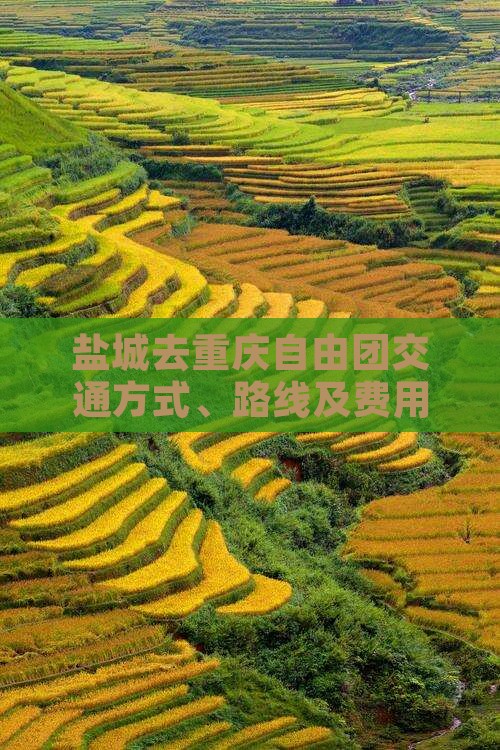 盐城去重庆自由团交通方式、路线及费用攻略