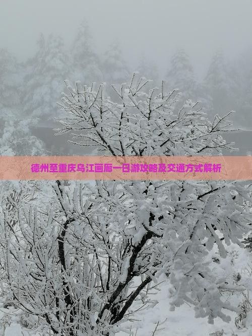 德州至重庆乌江画廊一日游攻略及交通方式解析