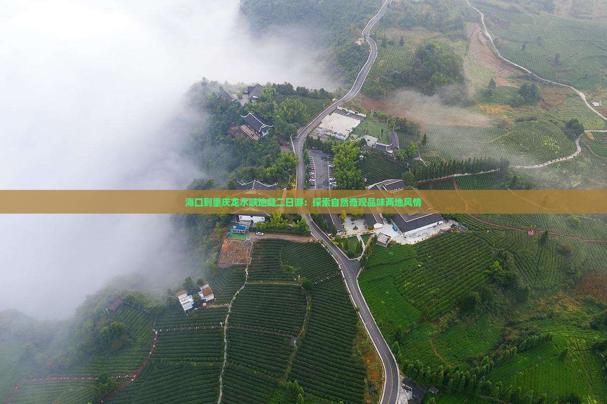 海口到重庆龙水峡地缝二日游：探索自然奇观品味两地风情