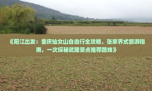 《阳江出发：重庆仙女山自由行全攻略，张家界式旅游指南，一次探秘武隆景点推荐路线》