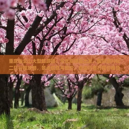重庆仙女山大型旅游团：河北鄢陵县出发，国际旅行社二日行程攻略，景点信息与报价，自由行看行程价格及导游服务详情