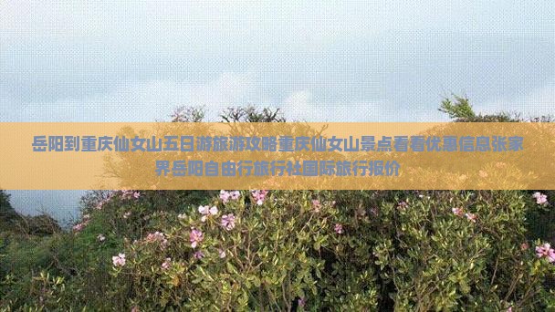岳阳到重庆仙女山五日游旅游攻略重庆仙女山景点看看优惠信息张家界岳阳自由行旅行社国际旅行报价