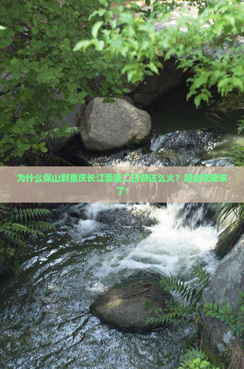 为什么保山到重庆长江索道二日游这么火？超全攻略来了！