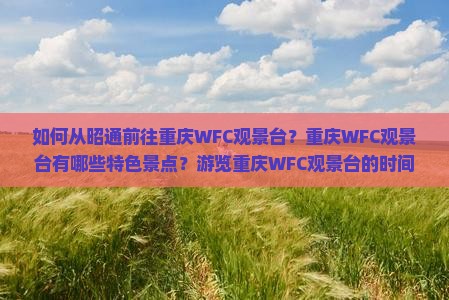 如何从昭通前往重庆WFC观景台？重庆WFC观景台有哪些特色景点？游览重庆WFC观景台的时间和门票价格是多少？