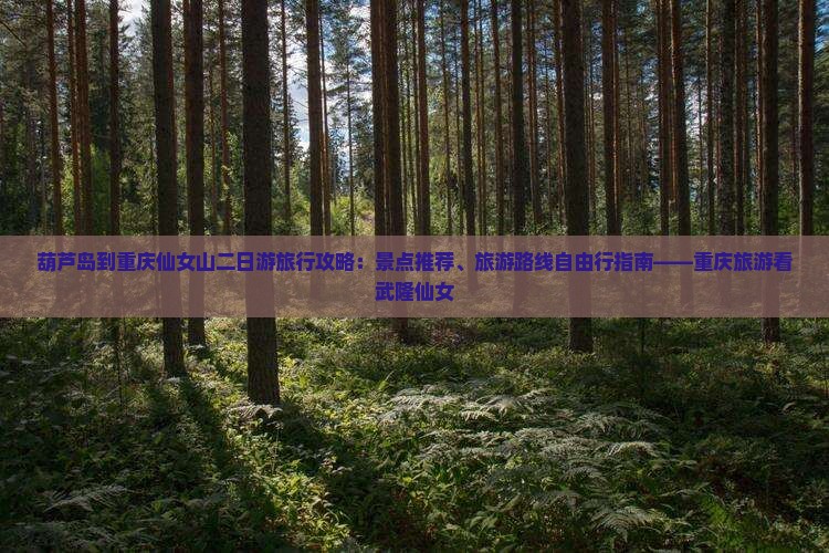 葫芦岛到重庆仙女山二日游旅行攻略：景点推荐、旅游路线自由行指南——重庆旅游看武隆仙女