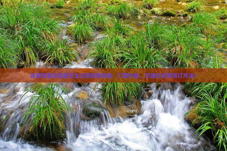 张掖至重庆武隆天生三桥旅游攻略：门票价格、交通方式及预订方法？