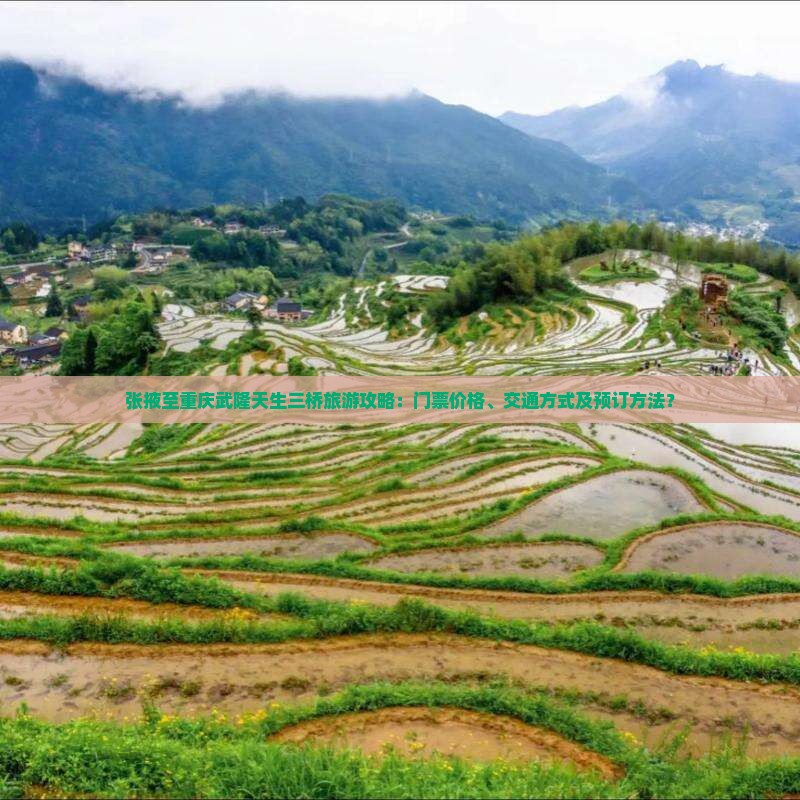 张掖至重庆武隆天生三桥旅游攻略：门票价格、交通方式及预订方法？