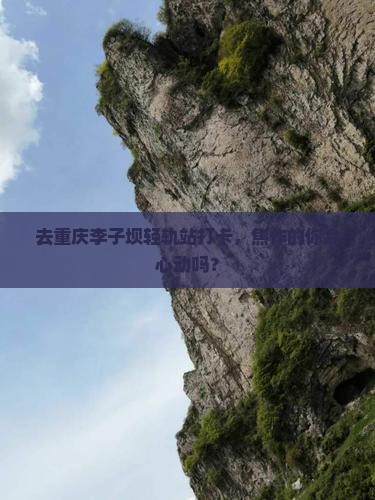 去重庆李子坝轻轨站打卡，焦作的你会心动吗？