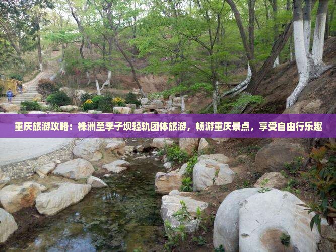 重庆旅游攻略：株洲至李子坝轻轨团体旅游，畅游重庆景点，享受自由行乐趣
