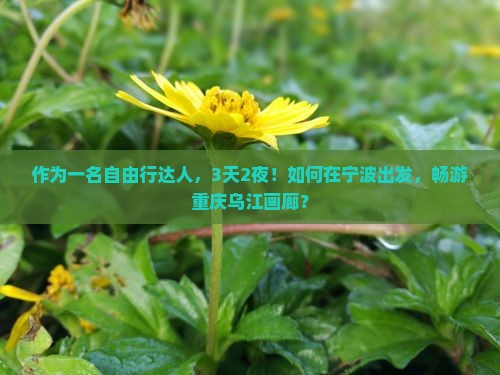 作为一名自由行达人，3天2夜！如何在宁波出发，畅游重庆乌江画廊？