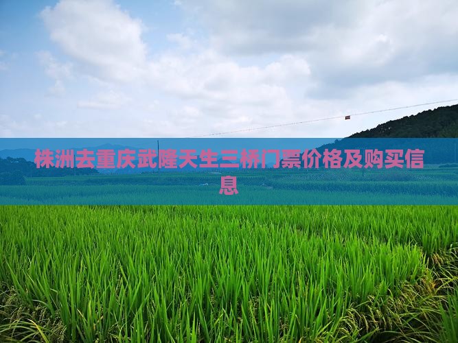 株洲去重庆武隆天生三桥门票价格及购买信息