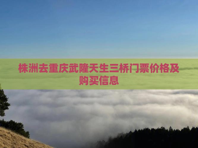 株洲去重庆武隆天生三桥门票价格及购买信息
