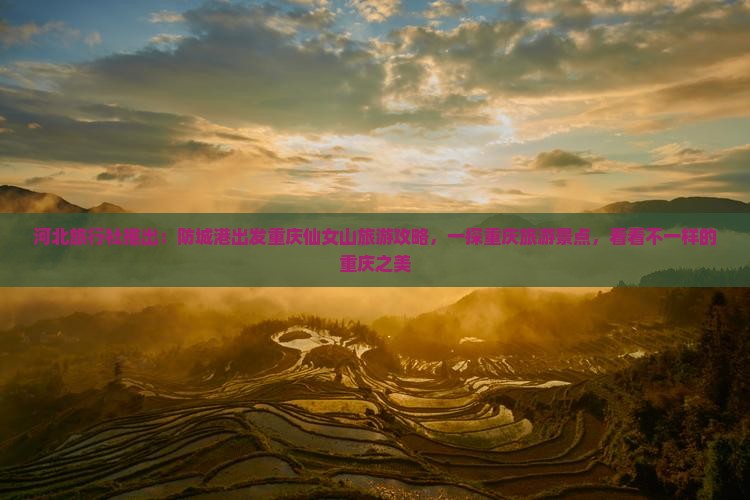 河北旅行社推出：防城港出发重庆仙女山旅游攻略，一探重庆旅游景点，看看不一样的重庆之美