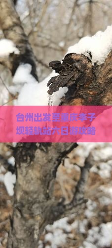 台州出发至重庆李子坝轻轨站六日游攻略与行程安排指南