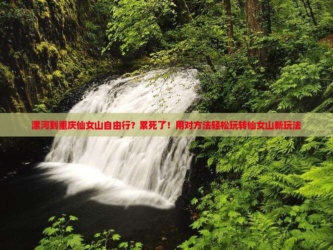 漯河到重庆仙女山自由行？累死了！用对方法轻松玩转仙女山新玩法
