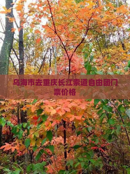 乌海市去重庆长江索道自由团门票价格