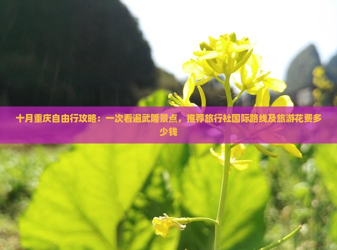 十月重庆自由行攻略：一次看遍武隆景点，推荐旅行社国际路线及旅游花费多少钱