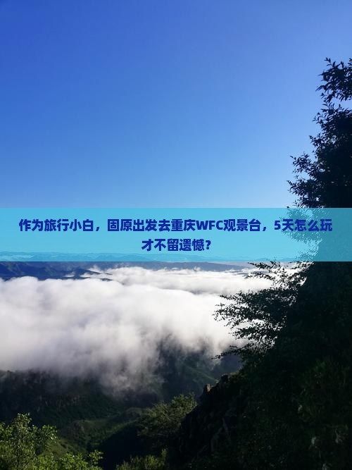 作为旅行小白，固原出发去重庆WFC观景台，5天怎么玩才不留遗憾？