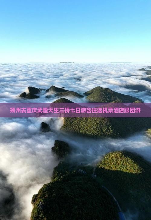 扬州去重庆武隆天生三桥七日游含往返机票酒店跟团游