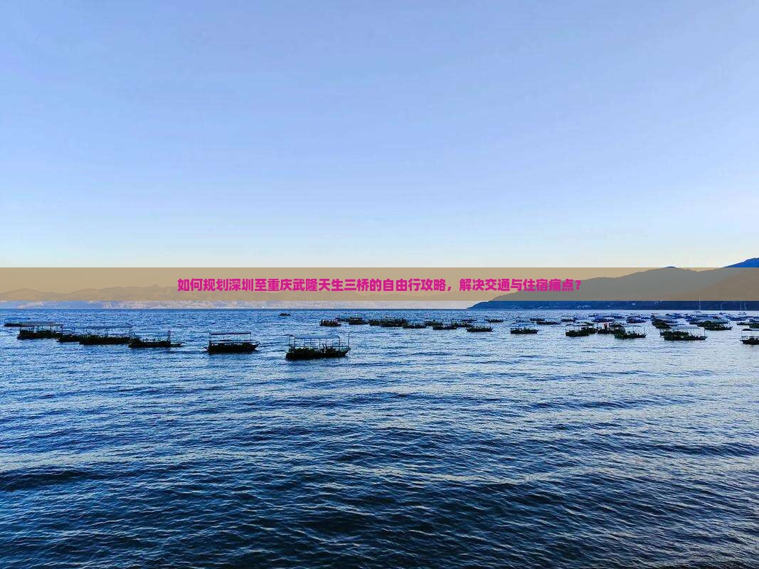 如何规划深圳至重庆武隆天生三桥的自由行攻略，解决交通与住宿痛点？