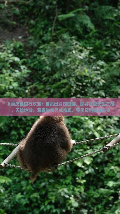 《重庆自由行攻略：自贡出发四日游，探寻武隆天生三桥、天坑地缝，看看张家界式奇观，费用及路线详析》